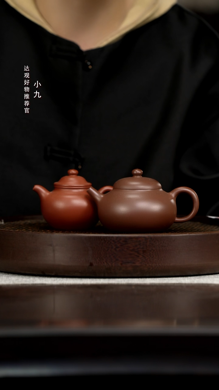 九DG189湛明堂张古月小莲子红泥120+九DG206王晨玉儒老紫泥 220