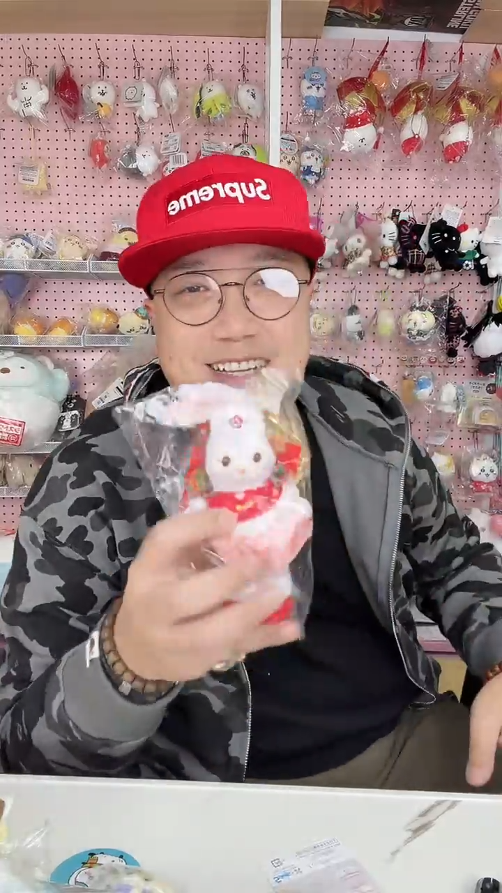 毛绒b dsn星黛露