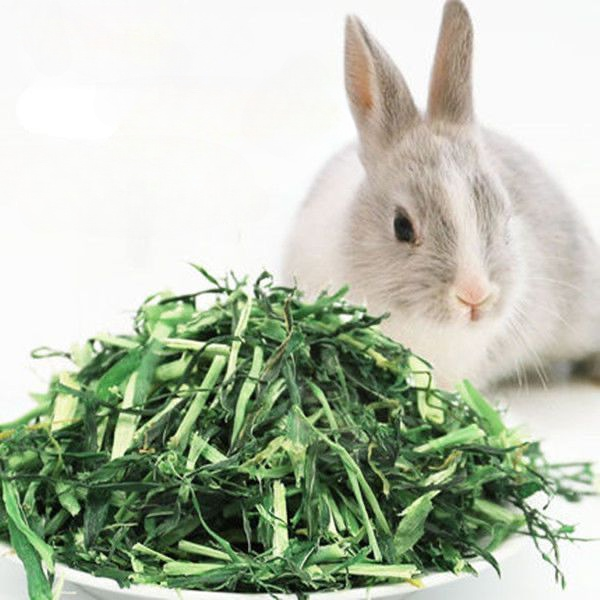 大麦草段烘干兔子龙猫金丝熊专用干草饲料