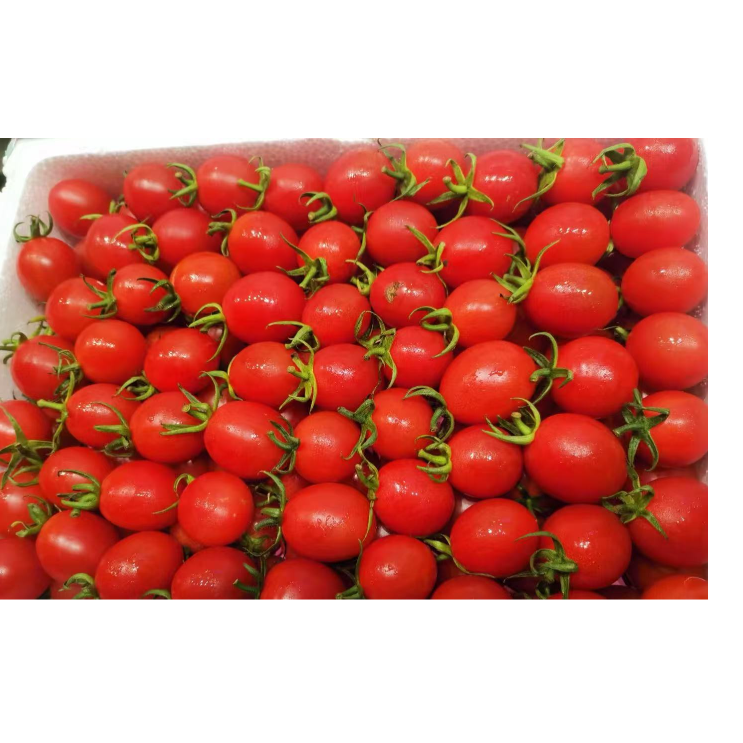 【千禧圣女果】新鲜爆汁 1斤装