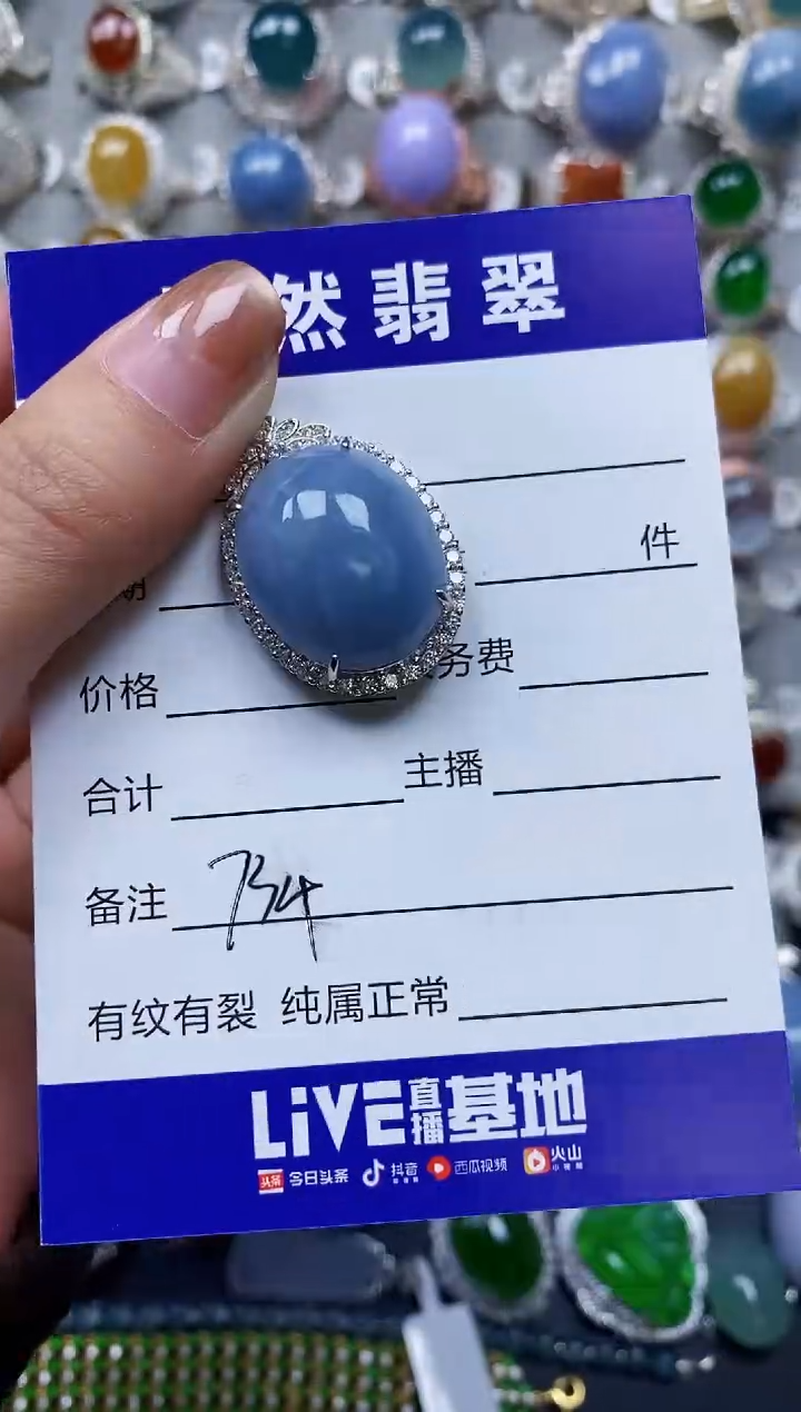 【闪购商品】翡翠颈饰银S925镶嵌0734