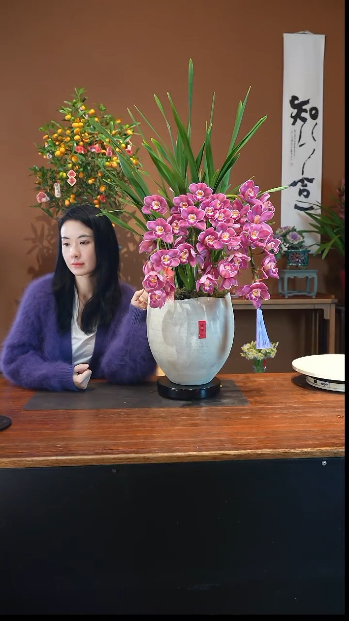 全部花朵小绣球盆景盆景