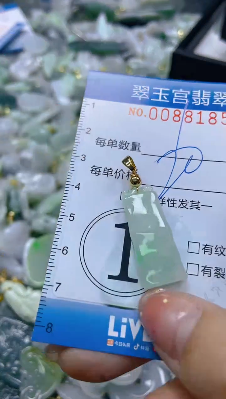 【闪购商品】翡翠颈饰未镶嵌闪购0088185