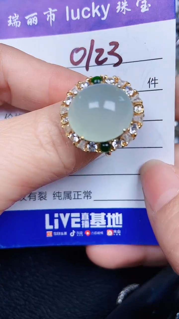 颈饰银S925镶嵌翡翠0123
