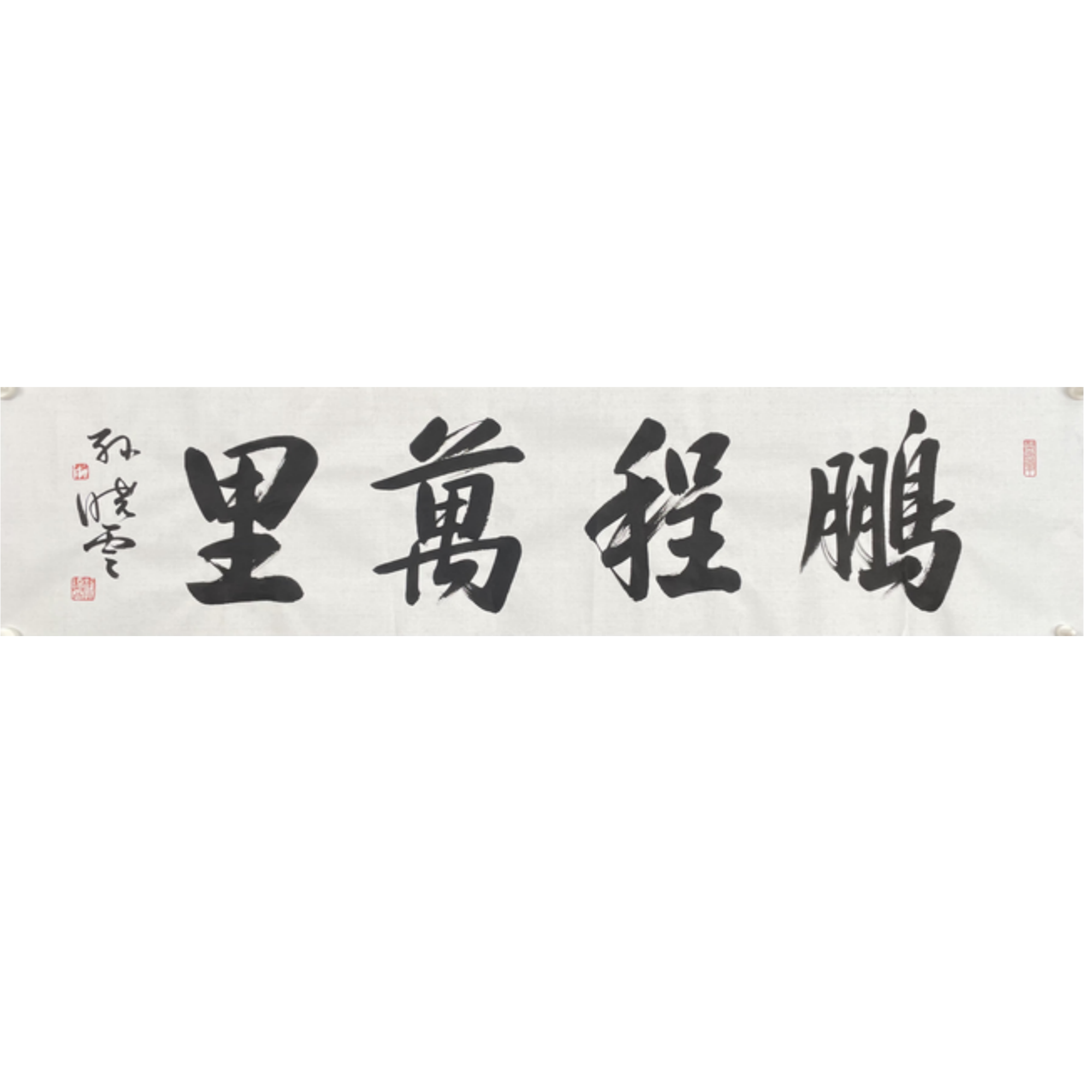 S-R-2637 孙晓云 鹏程万里 34cm*137cm 软片-A