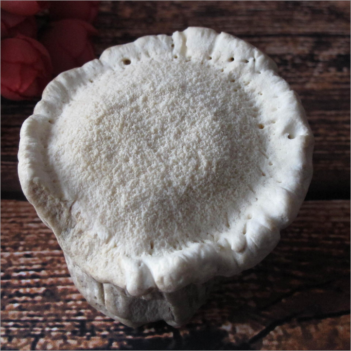 长白山鹿角帽粉50g 托盘粉东北原产地