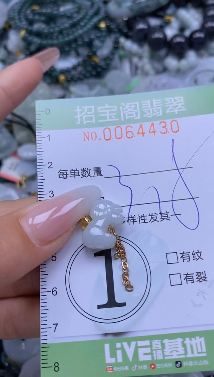 【闪购商品】翡翠颈饰未镶嵌闪购0064430