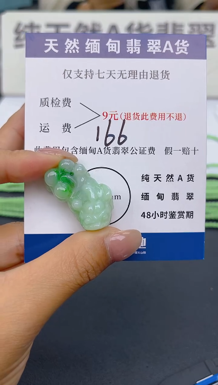 颈饰未镶嵌翡翠纯天然缅甸翡翠A货