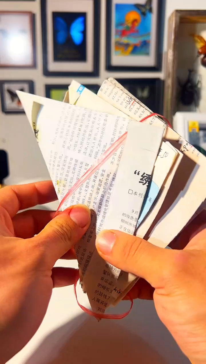 有机玻璃五只原蝶随机发