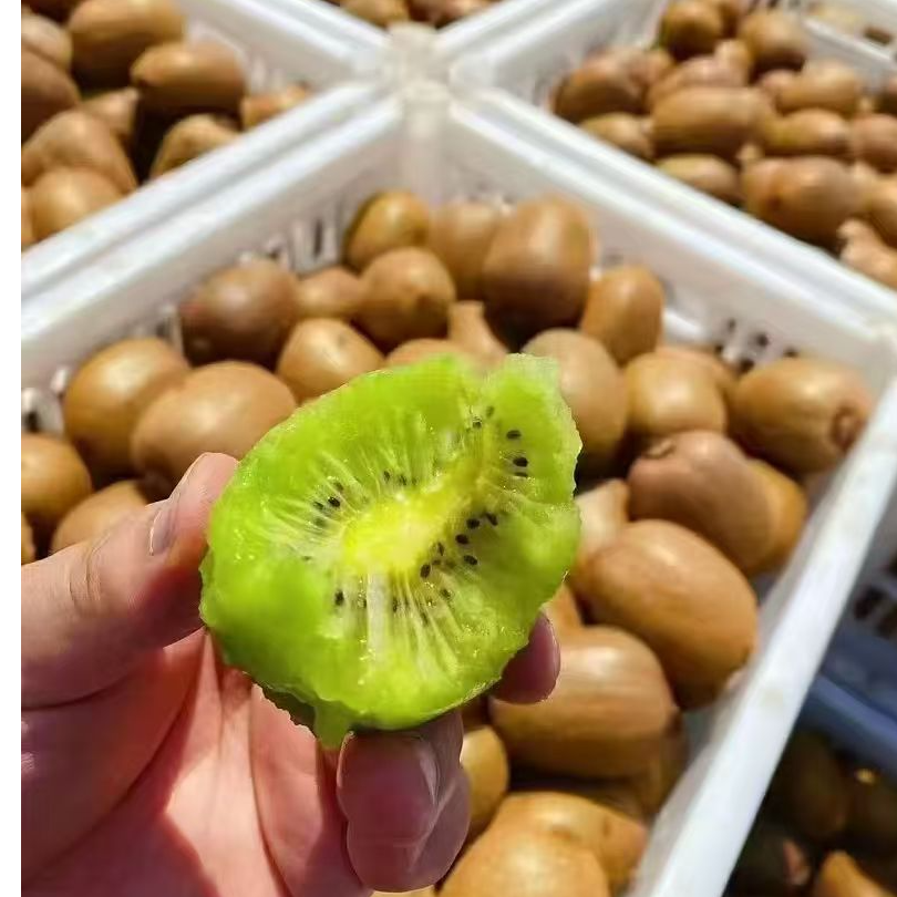 正宗陕西眉县绿心徐香猕猴桃香甜多汁70-140g 24颗彩箱装坏果包赔