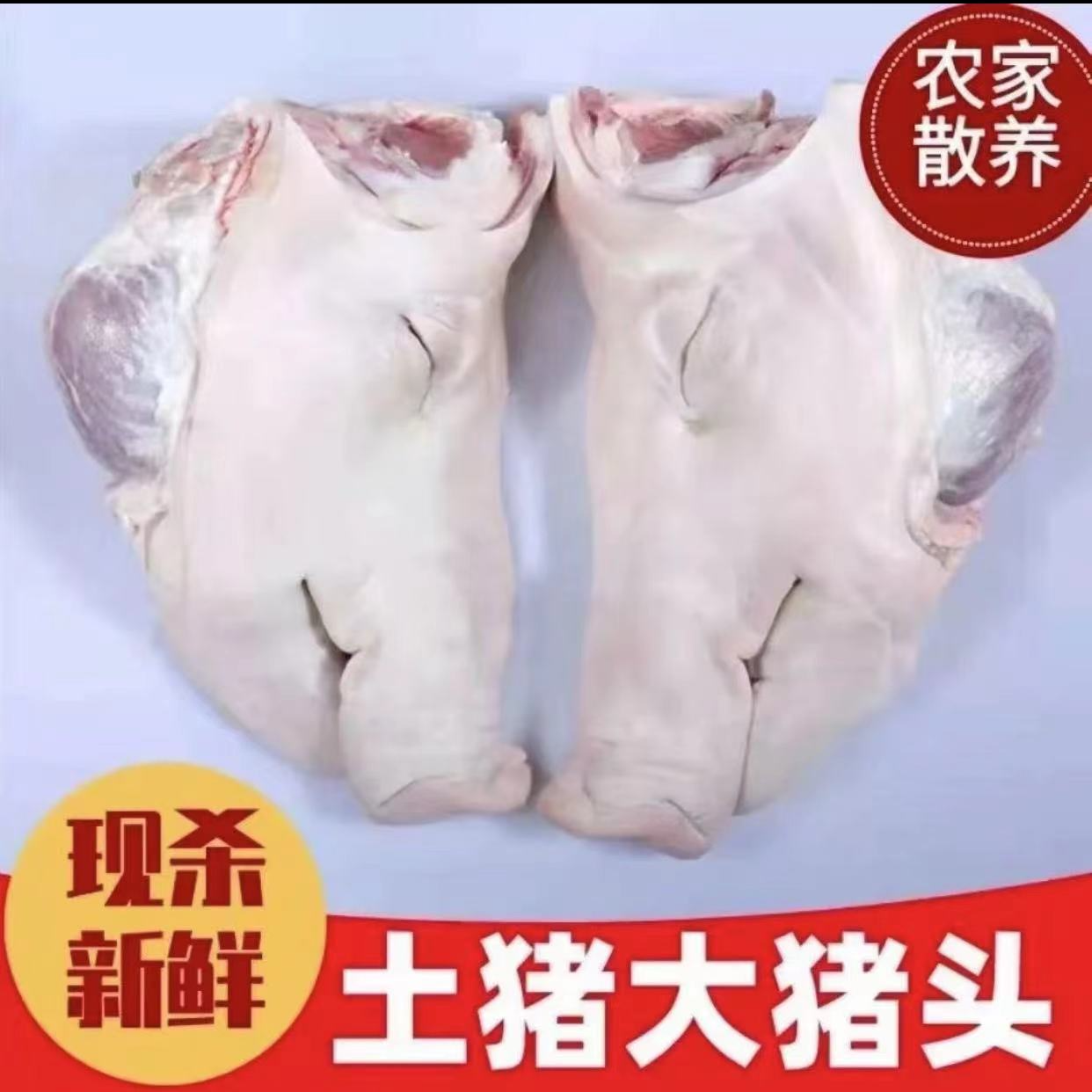 沂蒙山农户散养土猪头速冻保鲜