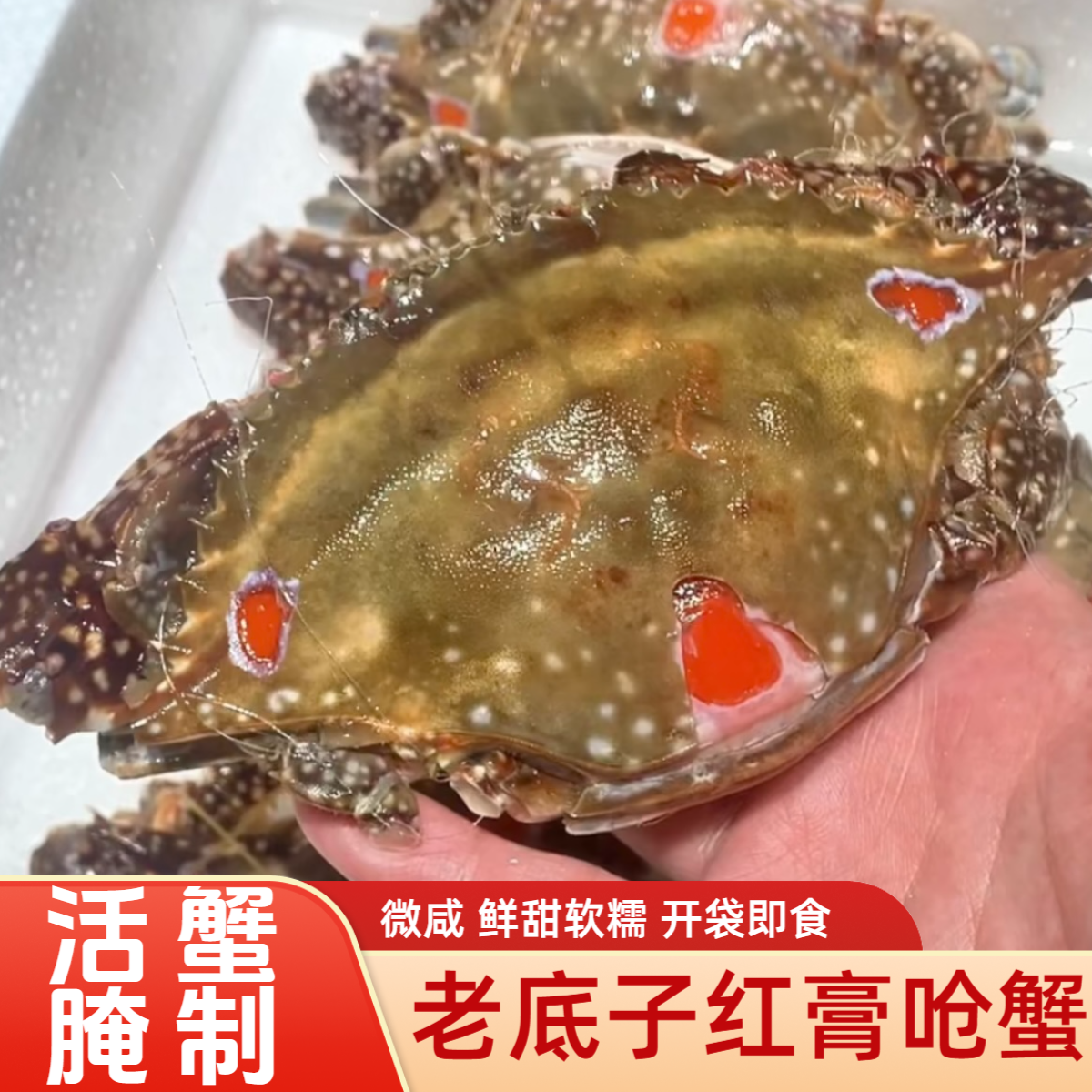 4两左右 舟山红膏咸呛蟹 新鲜腌制 咸炝蟹 江蟹生 即食海鲜