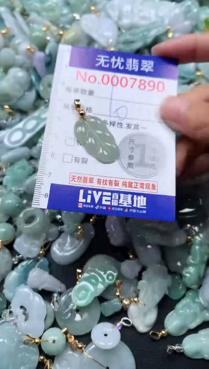 颈饰未镶嵌翡翠7890
