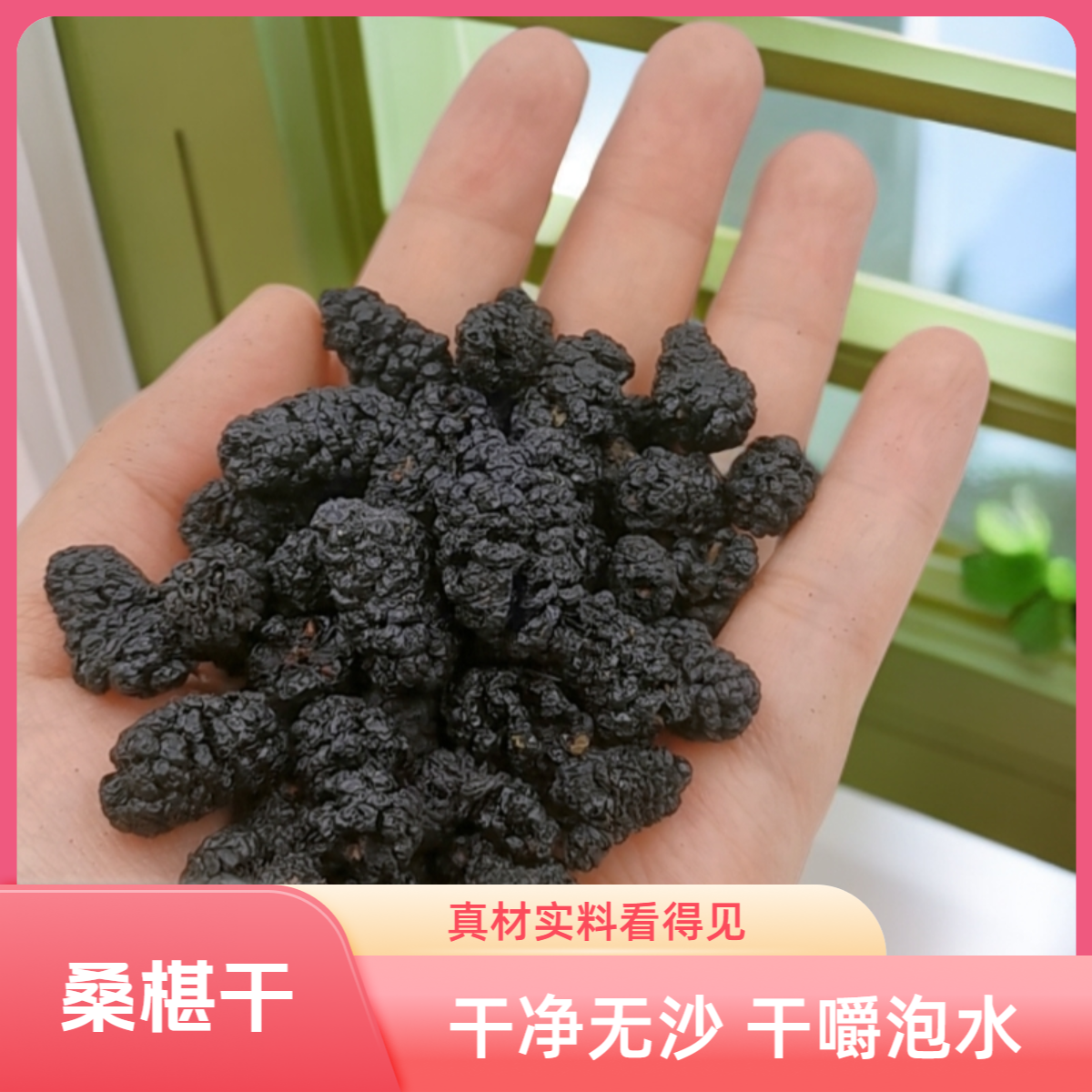 新疆特产头茬黑桑葚干干净无沙可泡茶泡醋饱满大粒