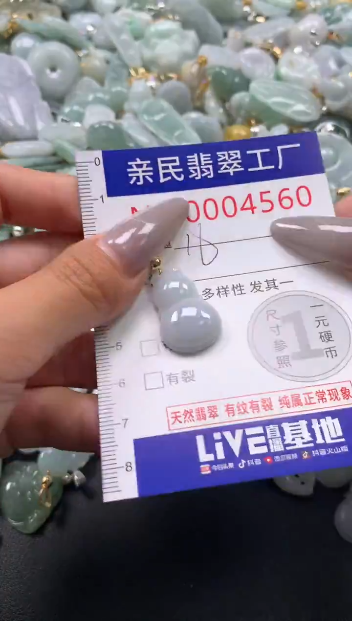 颈饰未镶嵌翡翠4560