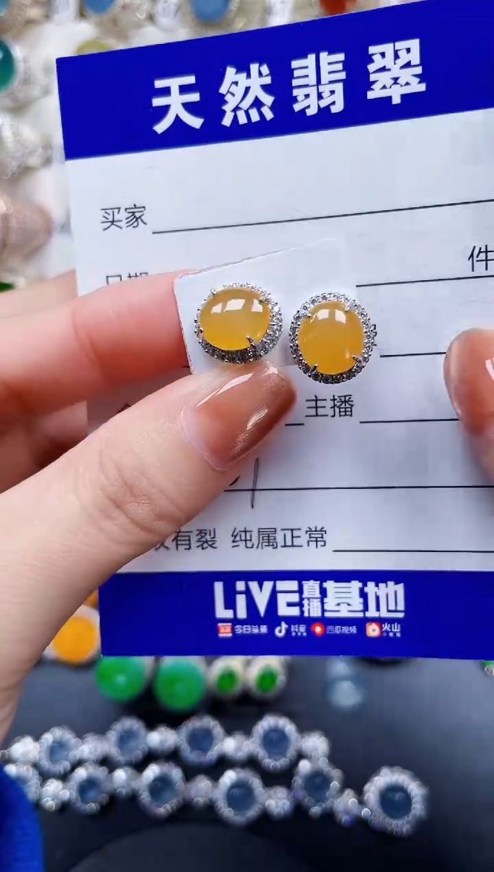 银S925镶嵌翡翠耳饰257