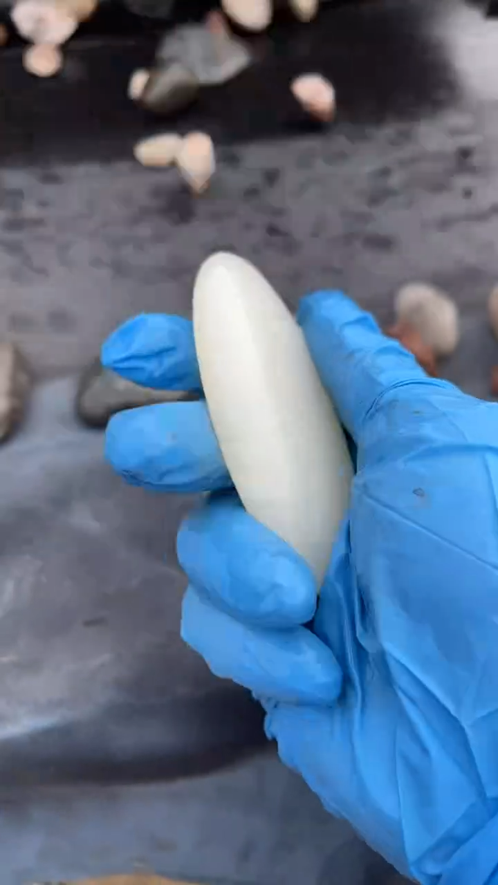 颈饰未镶嵌和田玉（糖玉）001