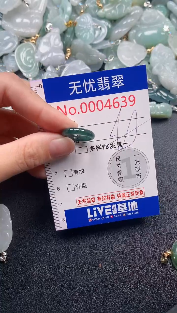 吊坠(不含链)未镶嵌翡翠4639