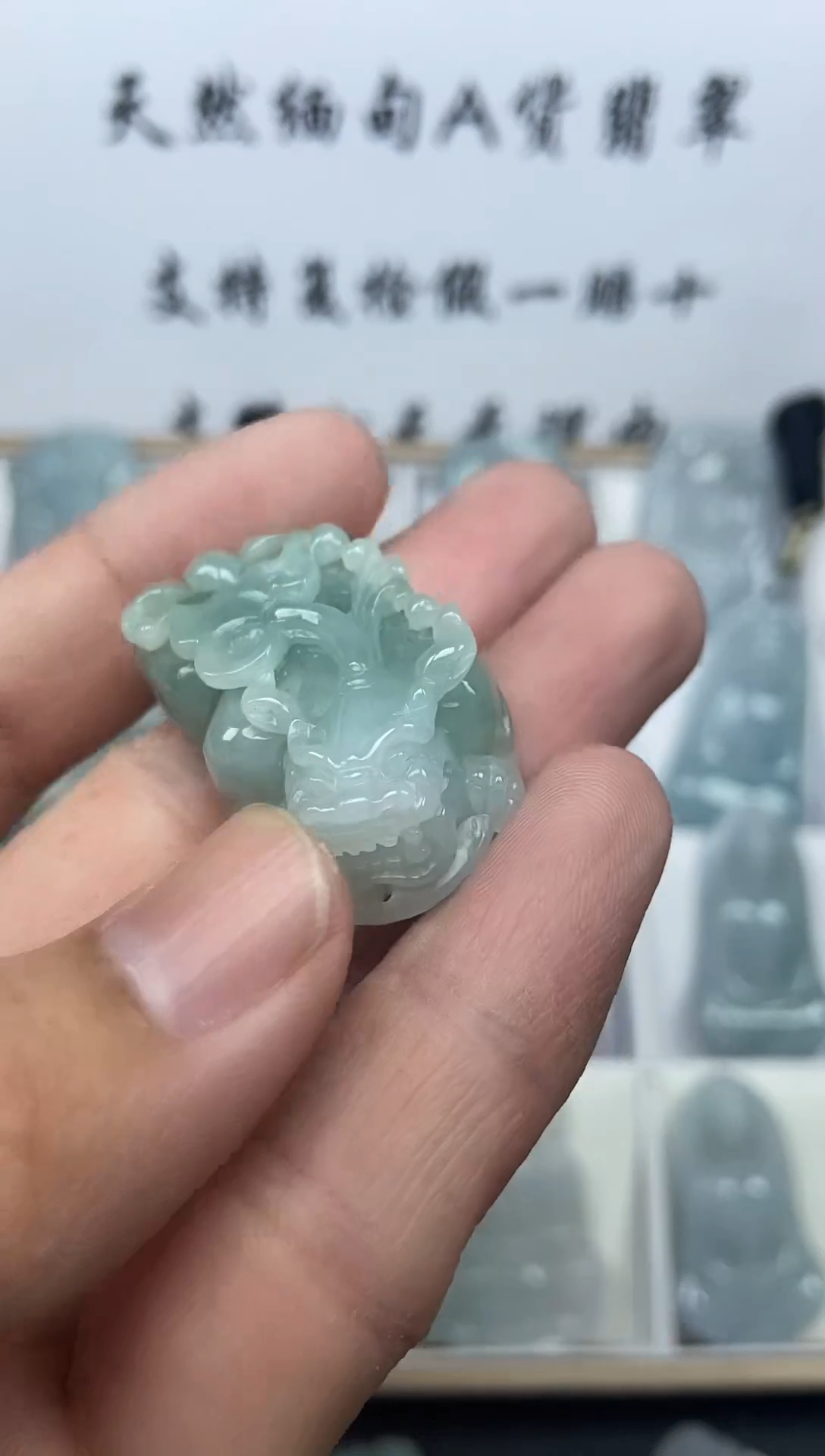 颈饰未镶嵌翡翠貔貅