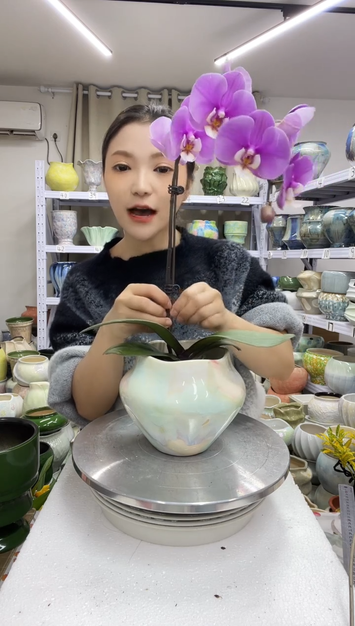 【12.25】花盆链接 高：  14   口：11