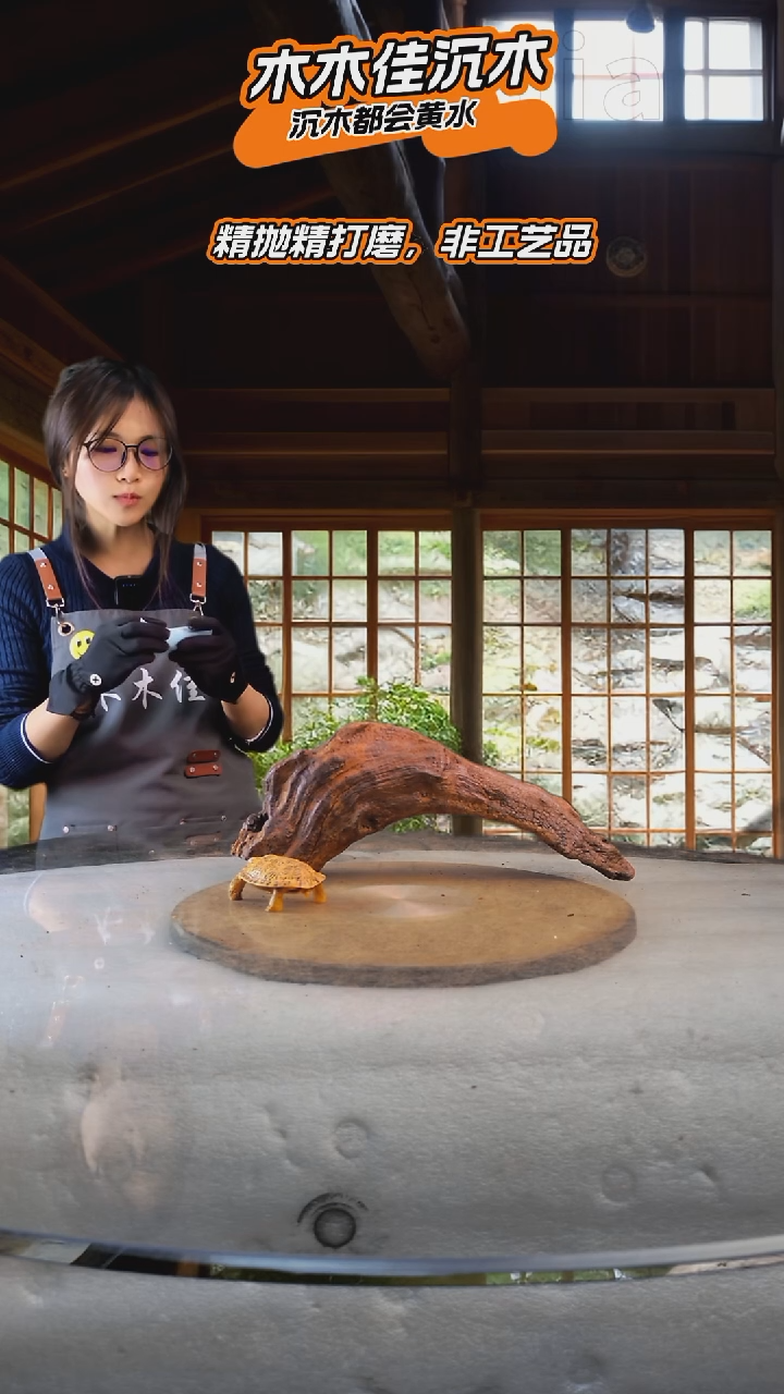 c****a木木佳沉木鱼缸造景-942