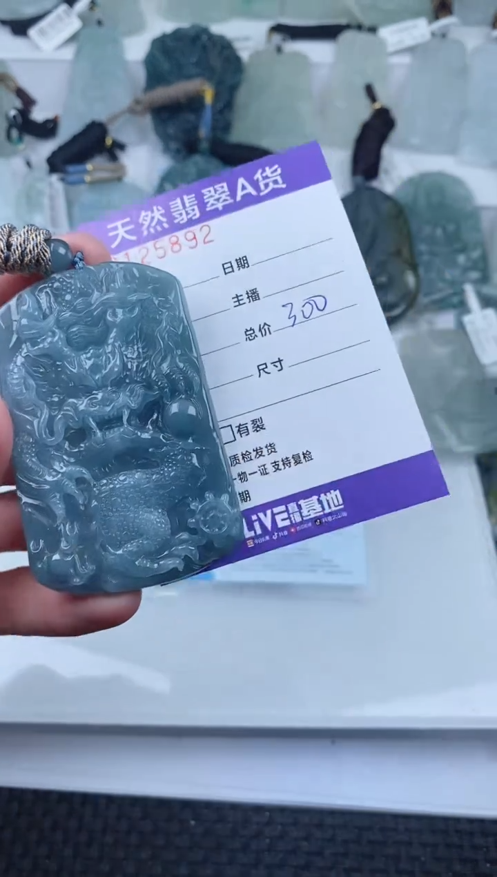 【闪购商品】翡翠颈饰未镶嵌        892