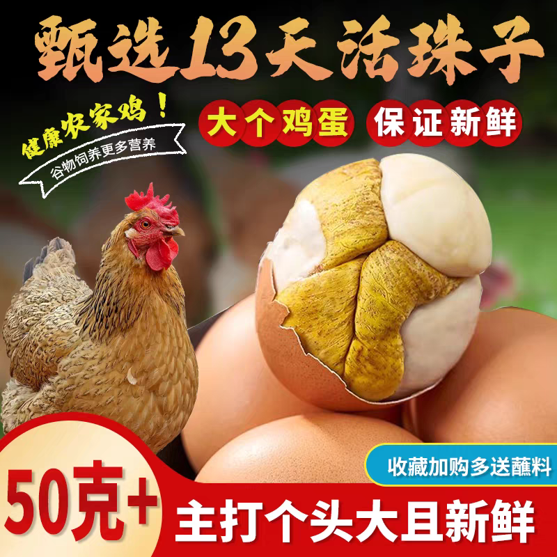13天新鲜五香香辣味活珠子开袋即食鸡胚蛋