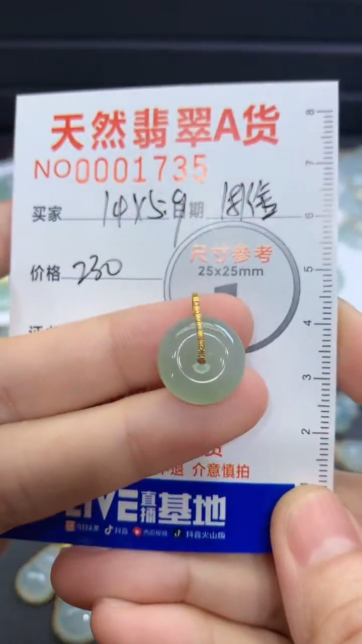 【闪购商品】翡翠颈饰未镶嵌翡翠