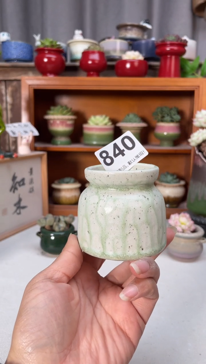 瓷片840小芳直播编号