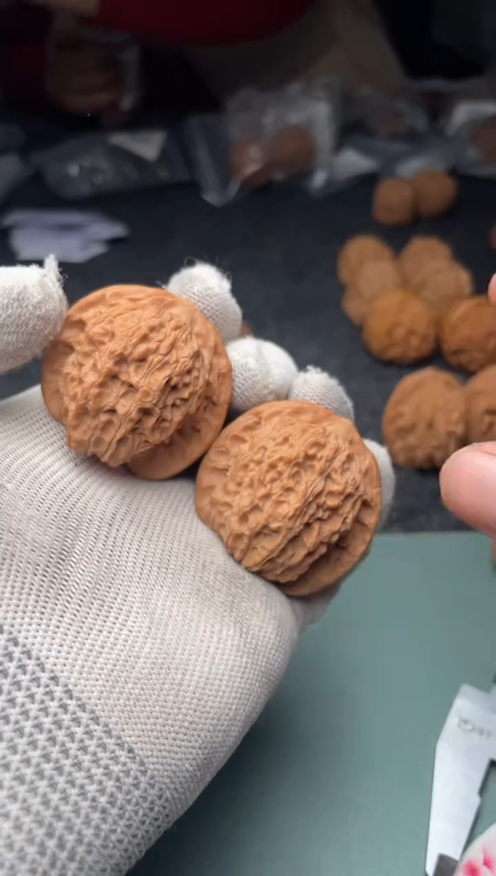 核桃a232  血麒麟 40尺