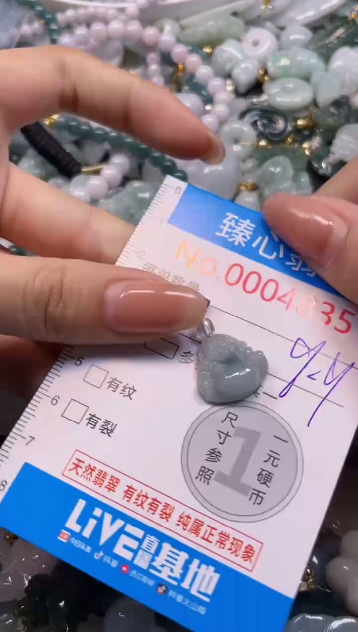 颈饰未镶嵌翡翠4835