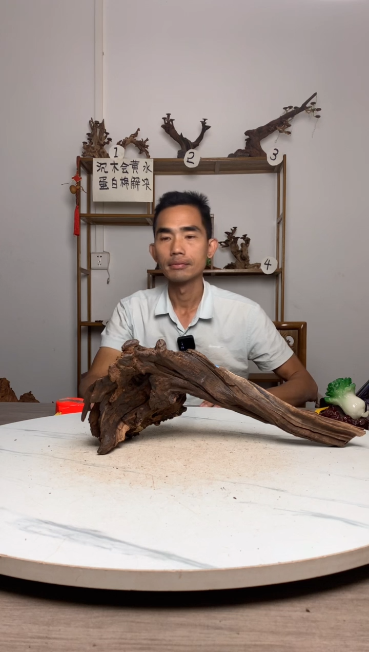 小**树鱼缸造景沉木摆件