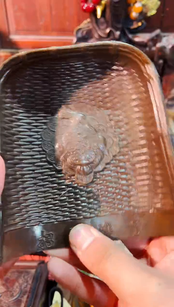 【闪购商品】硕少爷精选专属链接40