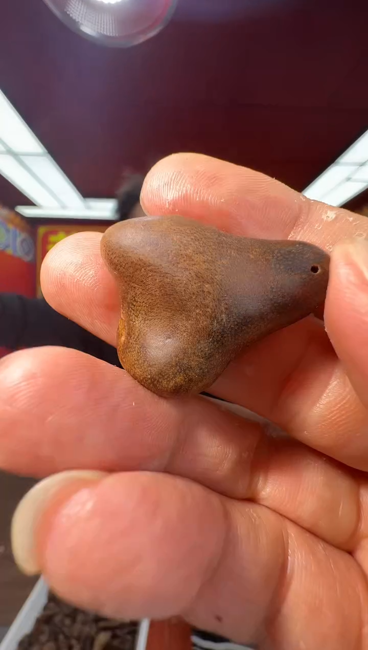 沉香沉香香囊e32越南多样性发一