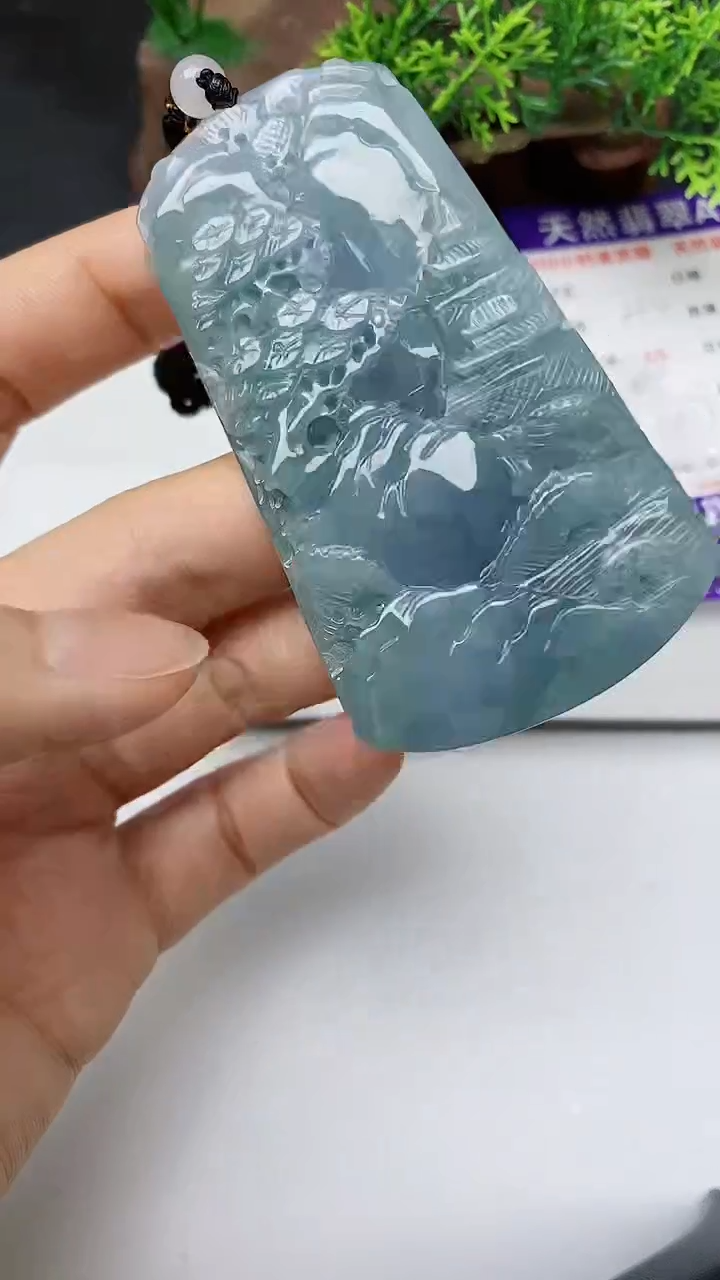 【闪购商品】翡翠颈饰未镶嵌        