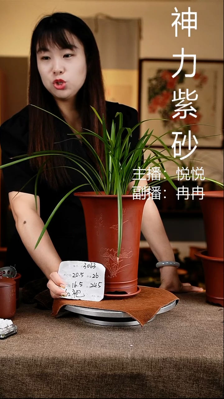 紫砂花盆花卉工艺3063+z