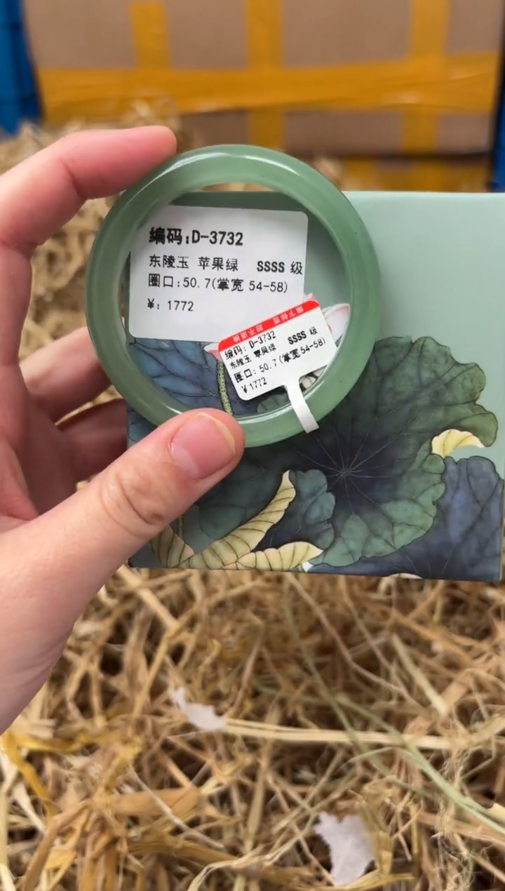 未镶嵌手镯石英质玉D-3732