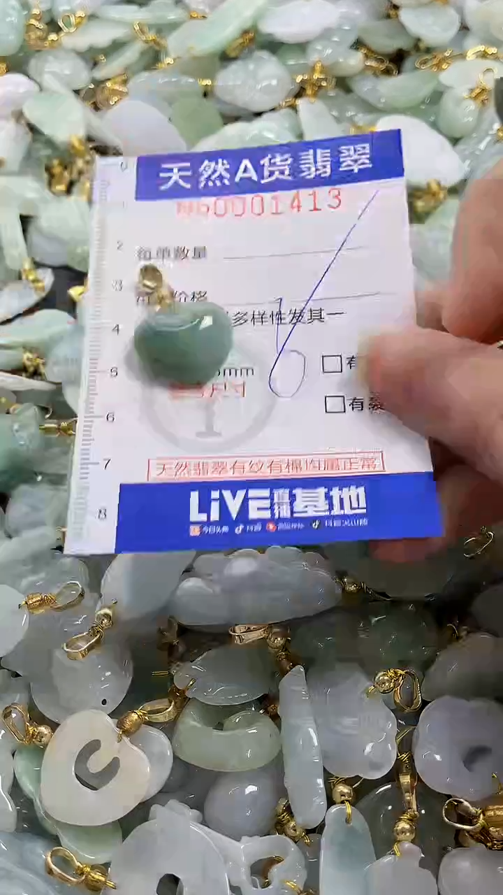 颈饰未镶嵌翡翠纯天然货翡翠