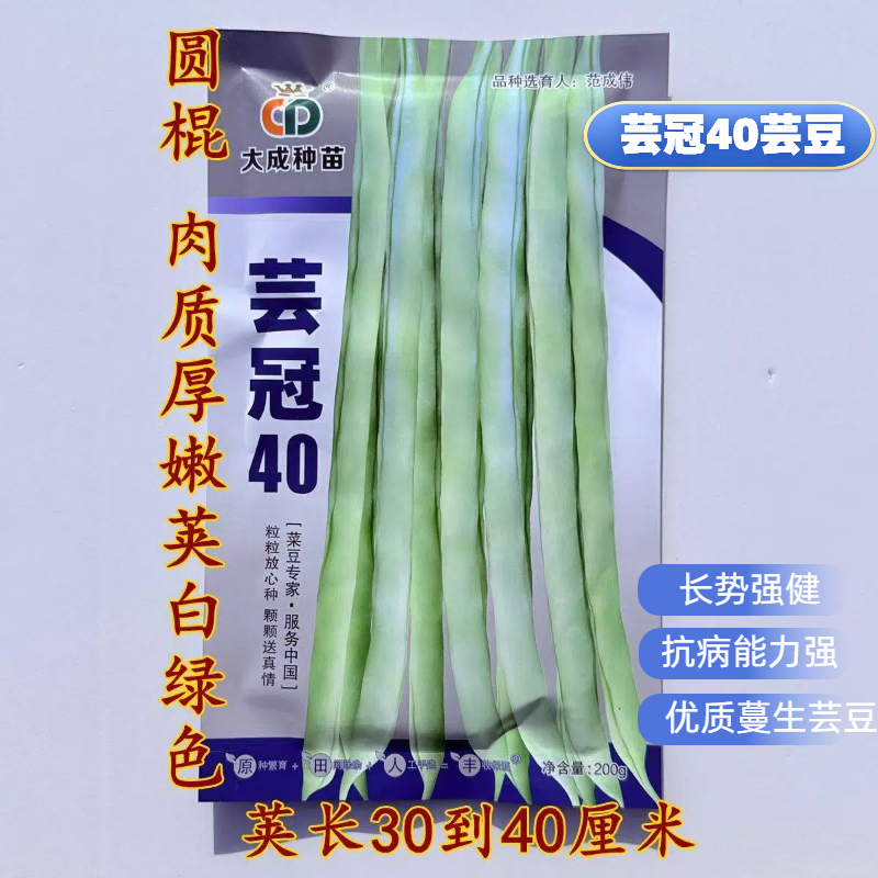 芸冠40优质蔓生芸豆品种圆棍肉质厚嫩荚白绿色长势强健抗病能力强