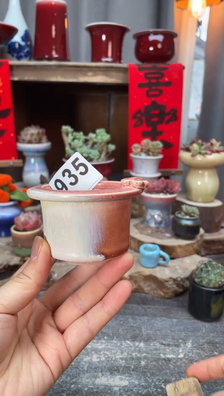 【闪购商品】摆件935福利知木小芳花盆