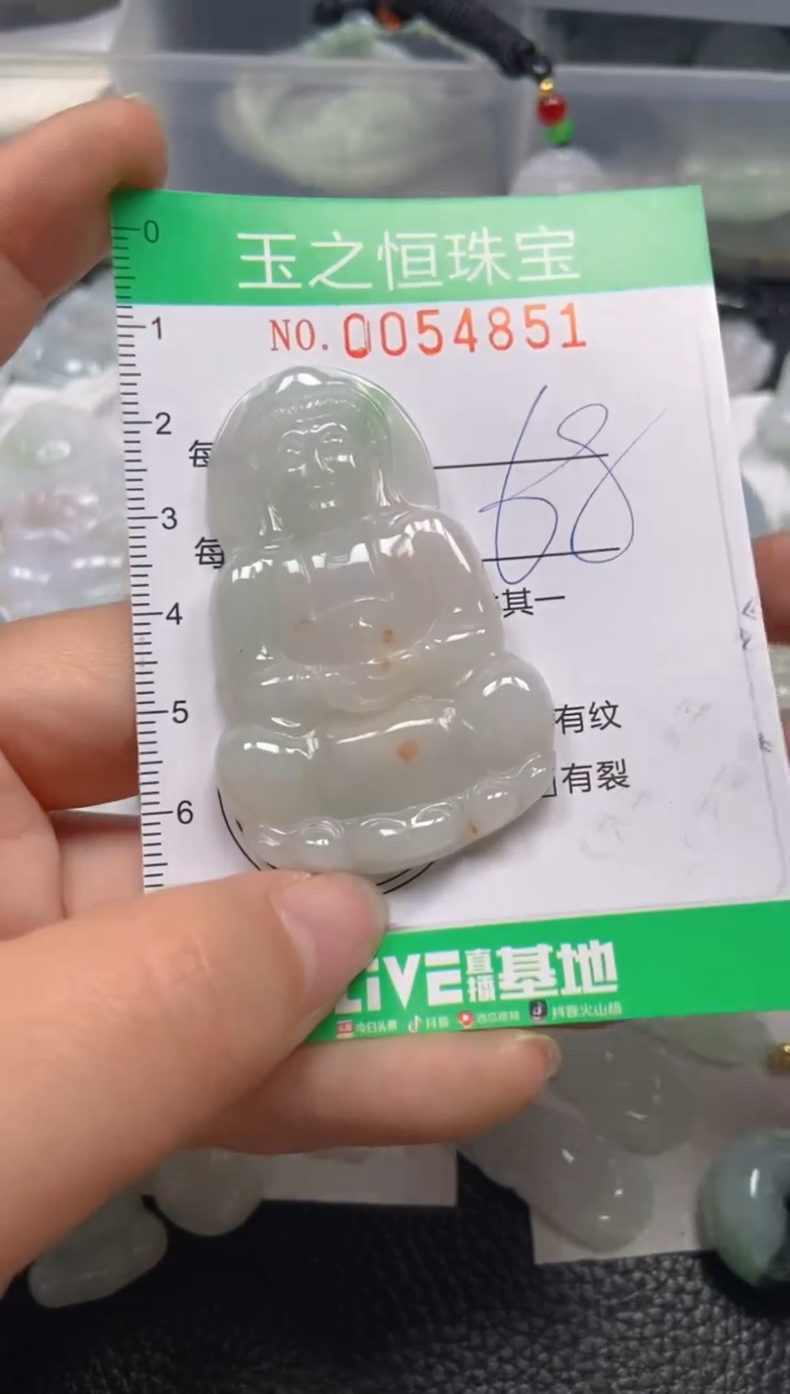 【闪购商品】翡翠未镶嵌颈饰闪购0054851