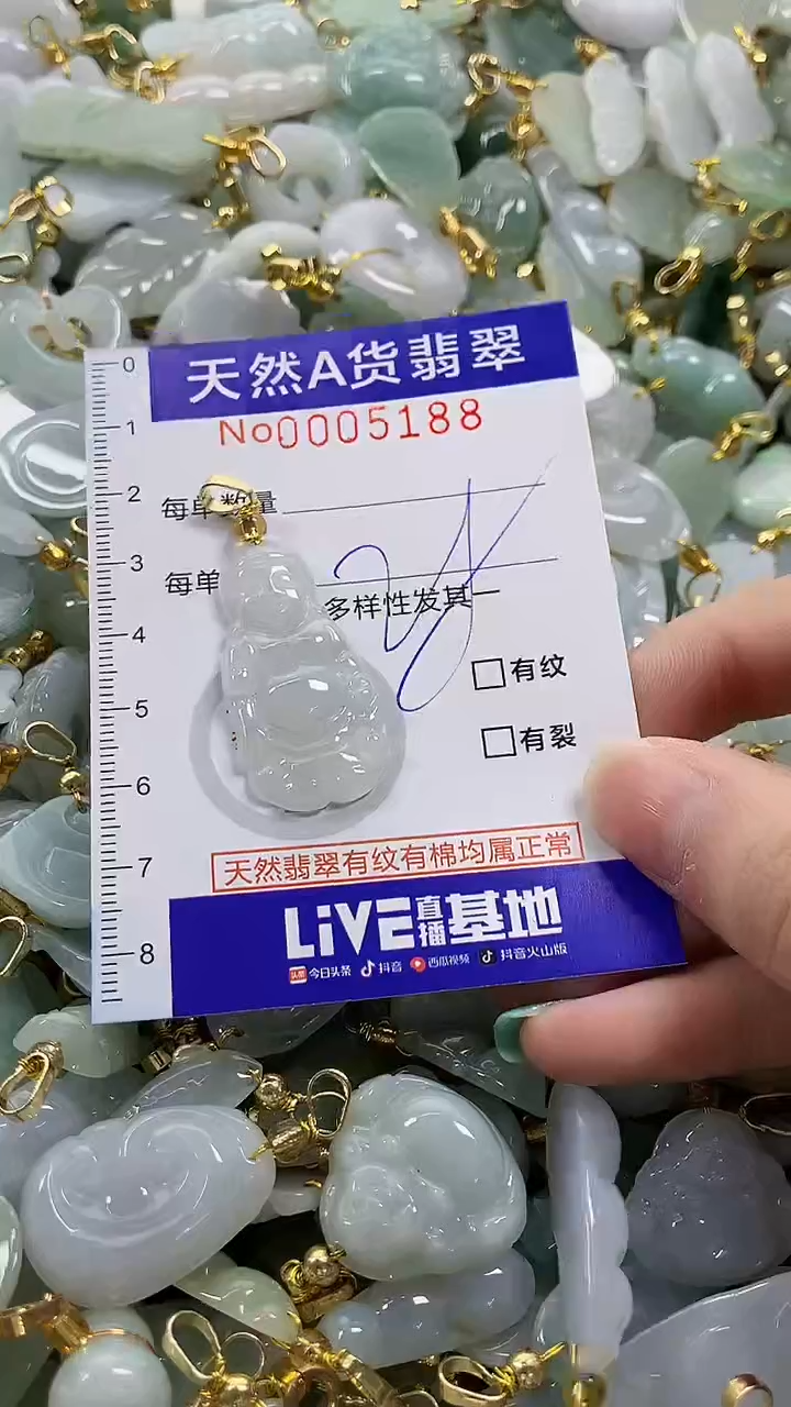 颈饰未镶嵌翡翠纯天然货翡翠