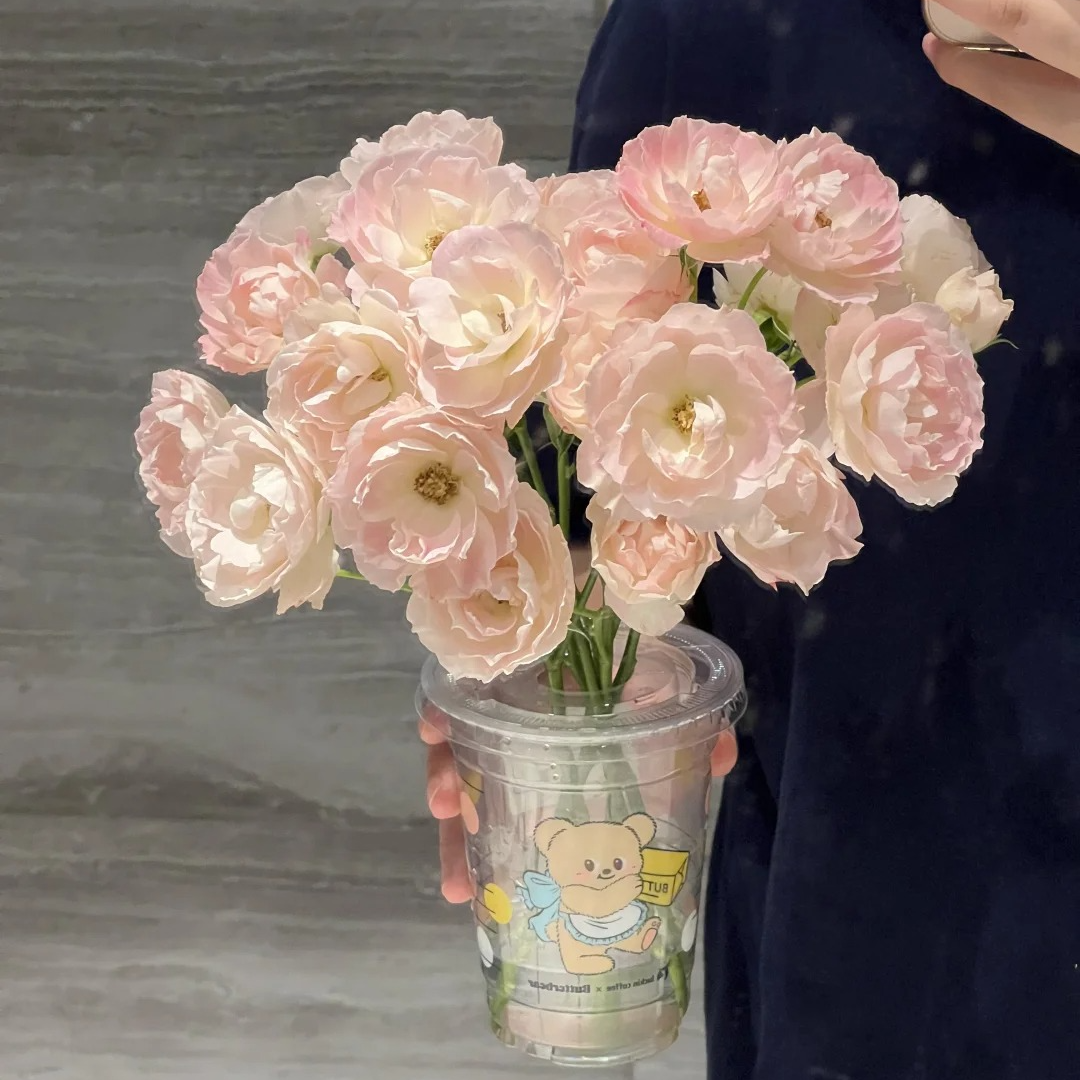 花梨，多头玫瑰，1单包邮，2单升级顺丰或者京东，距离远的发德邦 