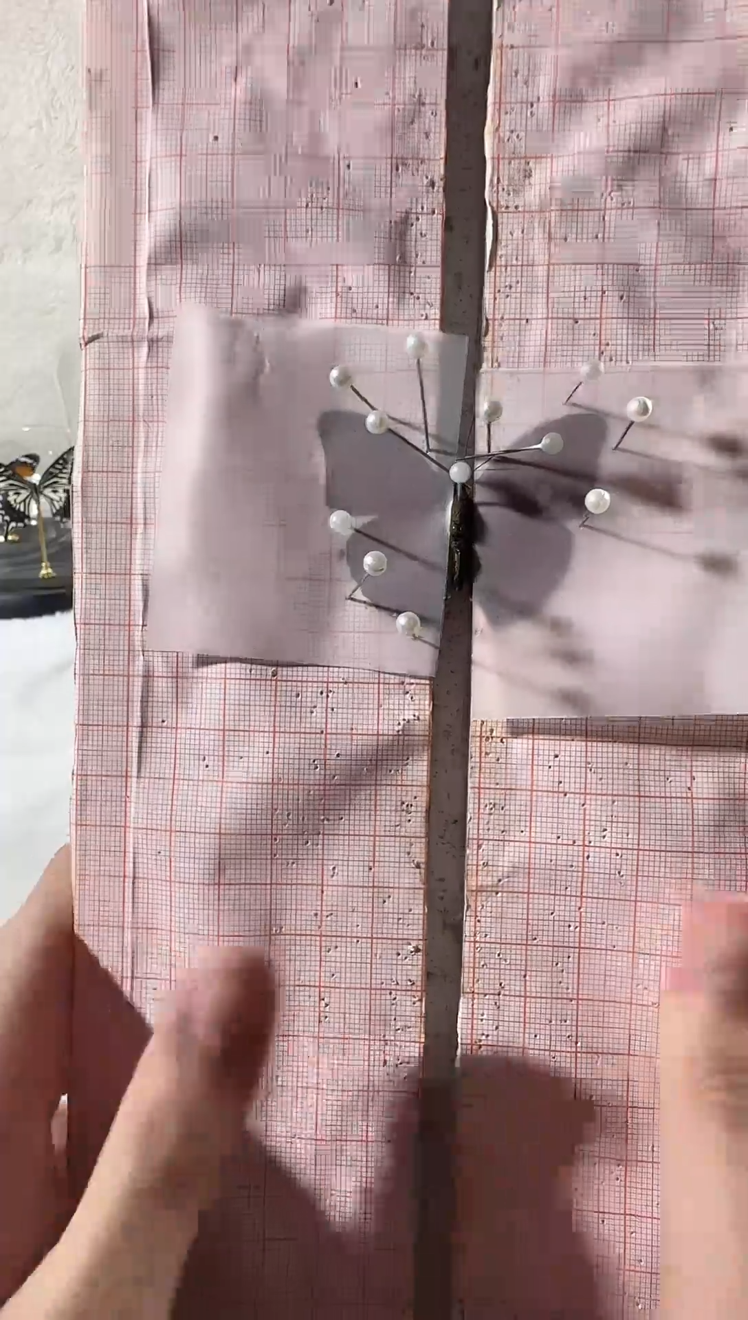 木倒*.血漪蛱蝶相框和水晶球自选