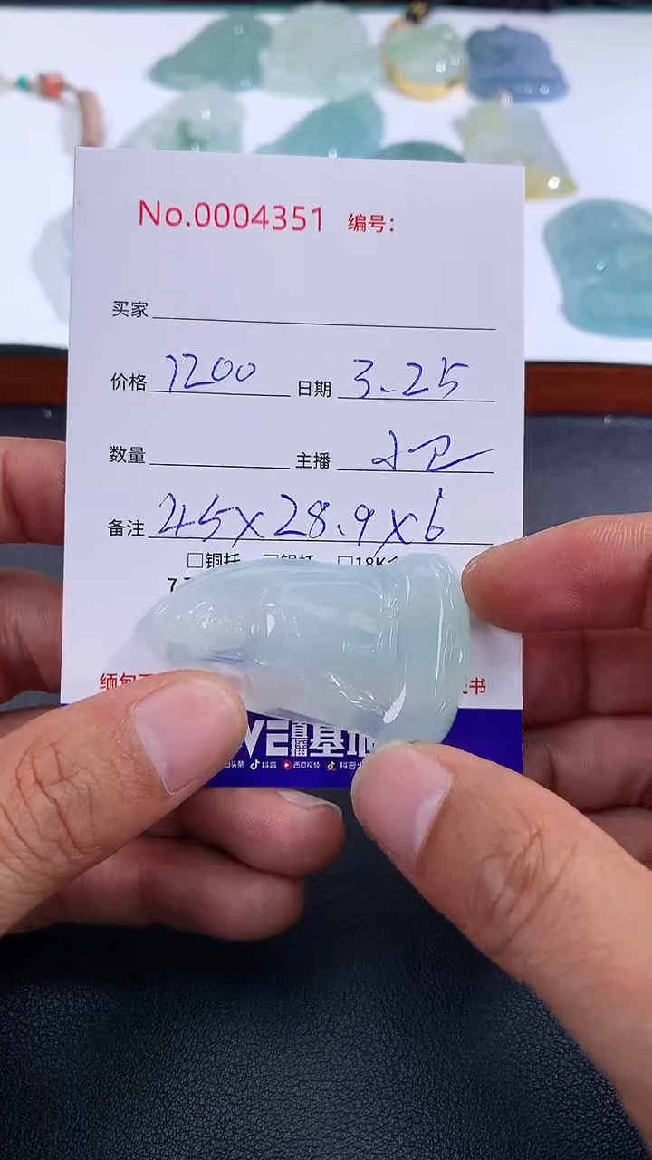 翡翠未镶嵌颈饰素衣