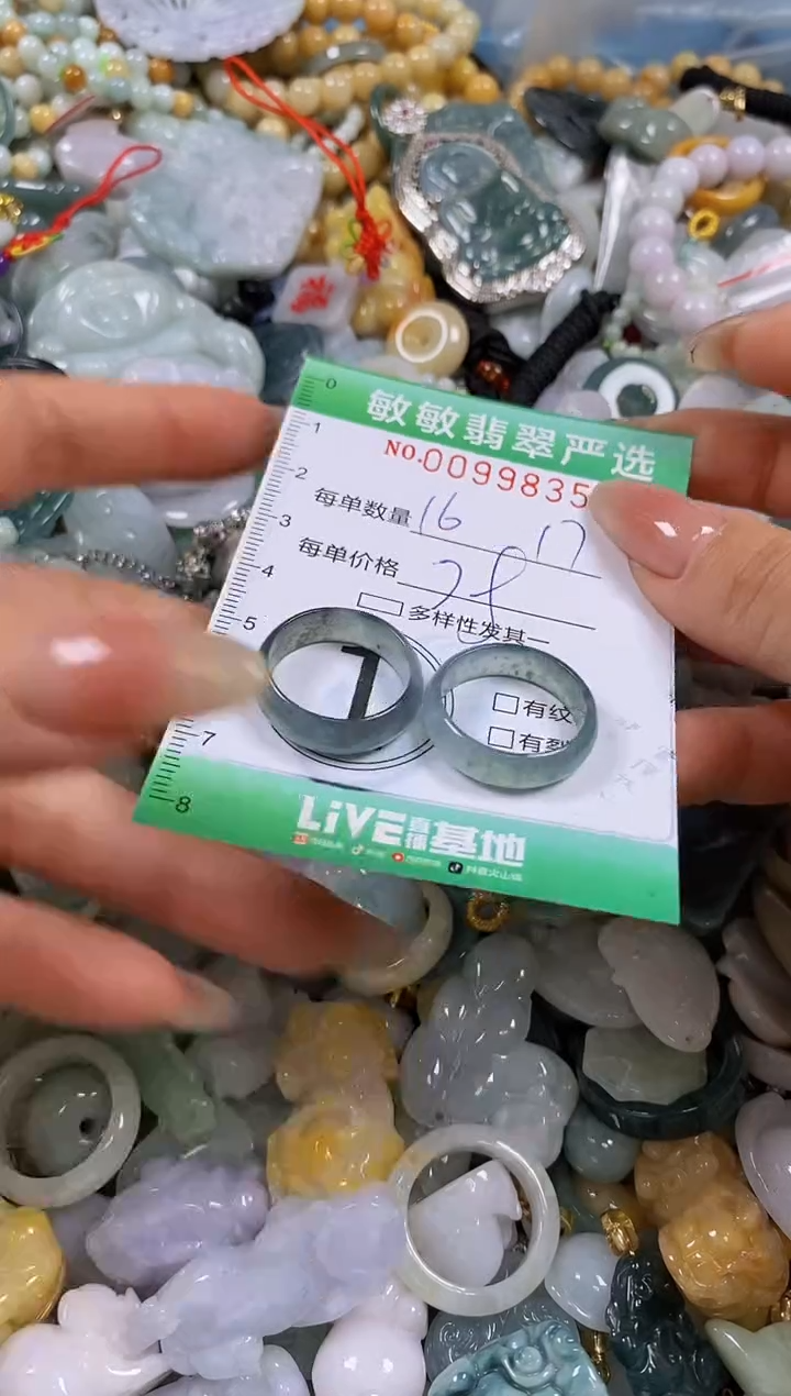 【闪购商品】翡翠颈饰未镶嵌闪购0099835