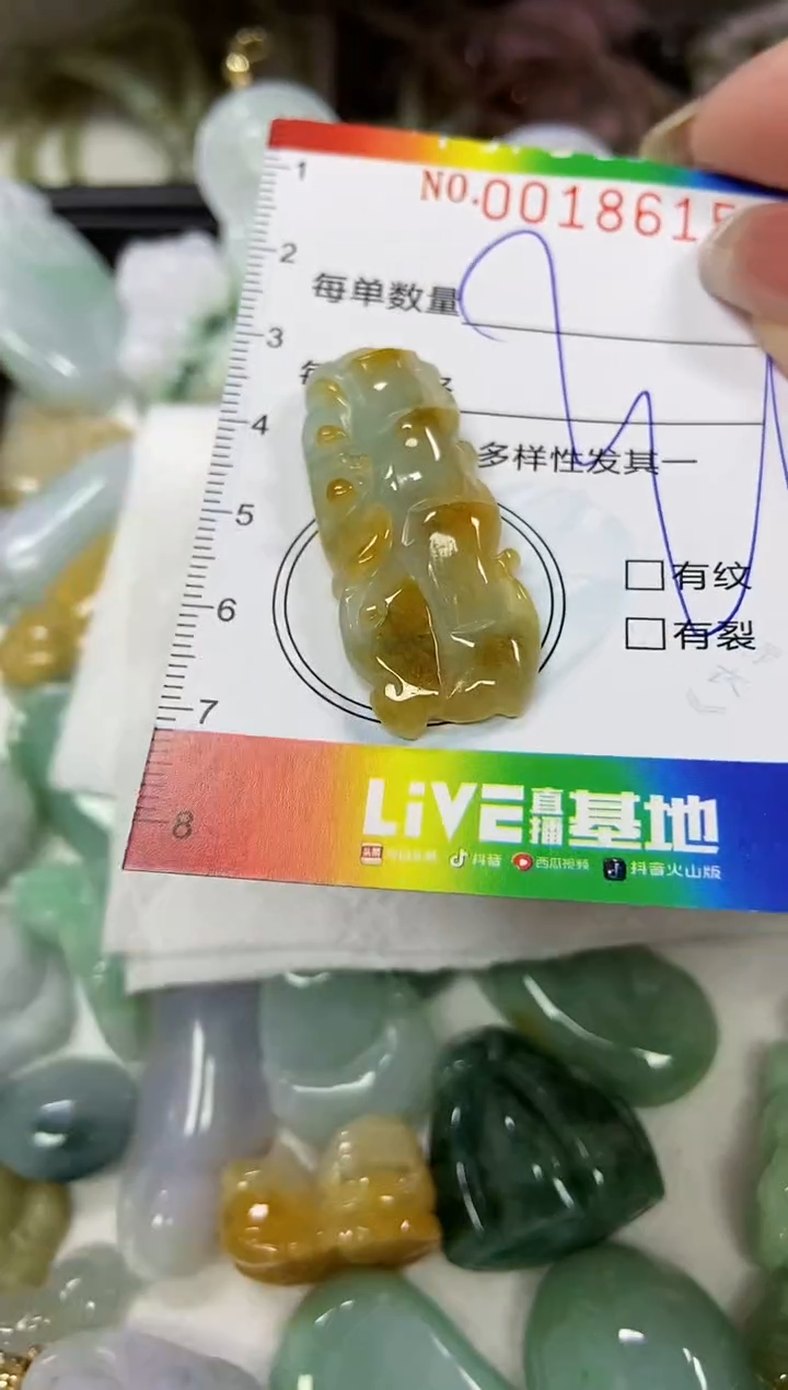 【闪购商品】翡翠颈饰未镶嵌闪购0018615