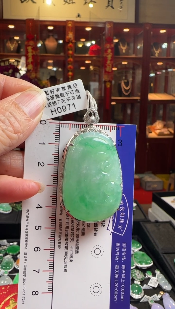 【闪购商品】翡翠颈饰18K金镶嵌H0971冰绿如意