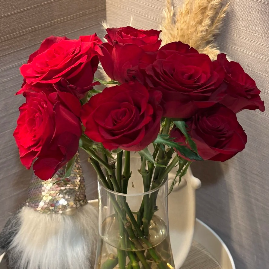 【月亮花圃】单头（爱琴海）玫瑰  1单普通快递，2单以上顺丰冷链