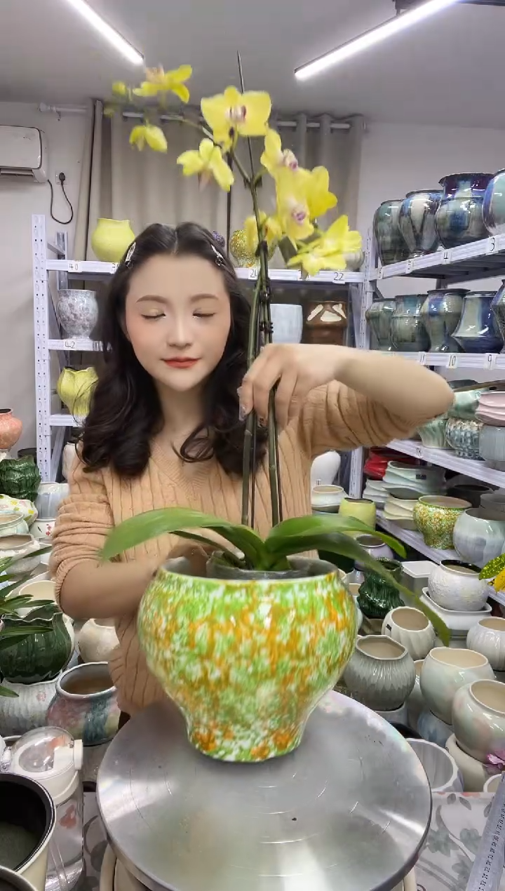 【花盆默认针孔介意勿拍】  高 ：16 口：16